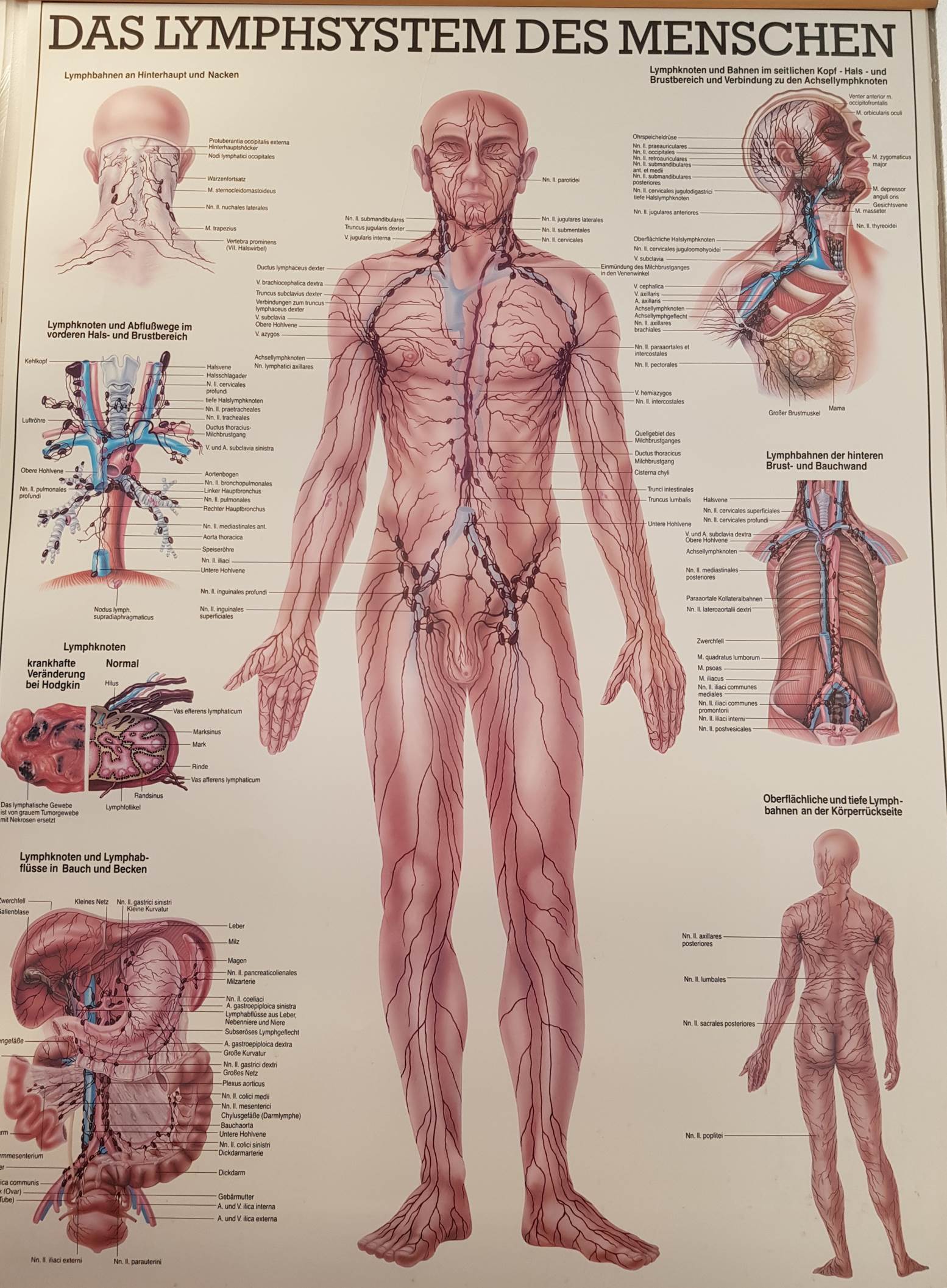 Opgezette benen en voeten door oedeemvorming Opgezette benen en voeten door oedeemvorming